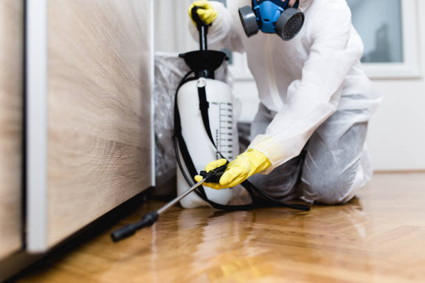 Best Wasp Removal Services  in Heber Overgaard, AZ