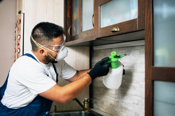  Heber Overgaard, AZ Pest Control Pros
