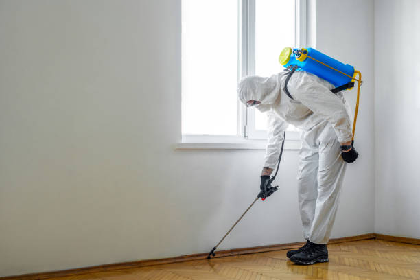 Best Best Pest Control Companies  in Heber Overgaard, AZ
