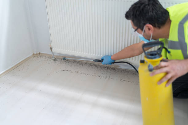 Best Pest Control Near Me  in Heber Overgaard, AZ
